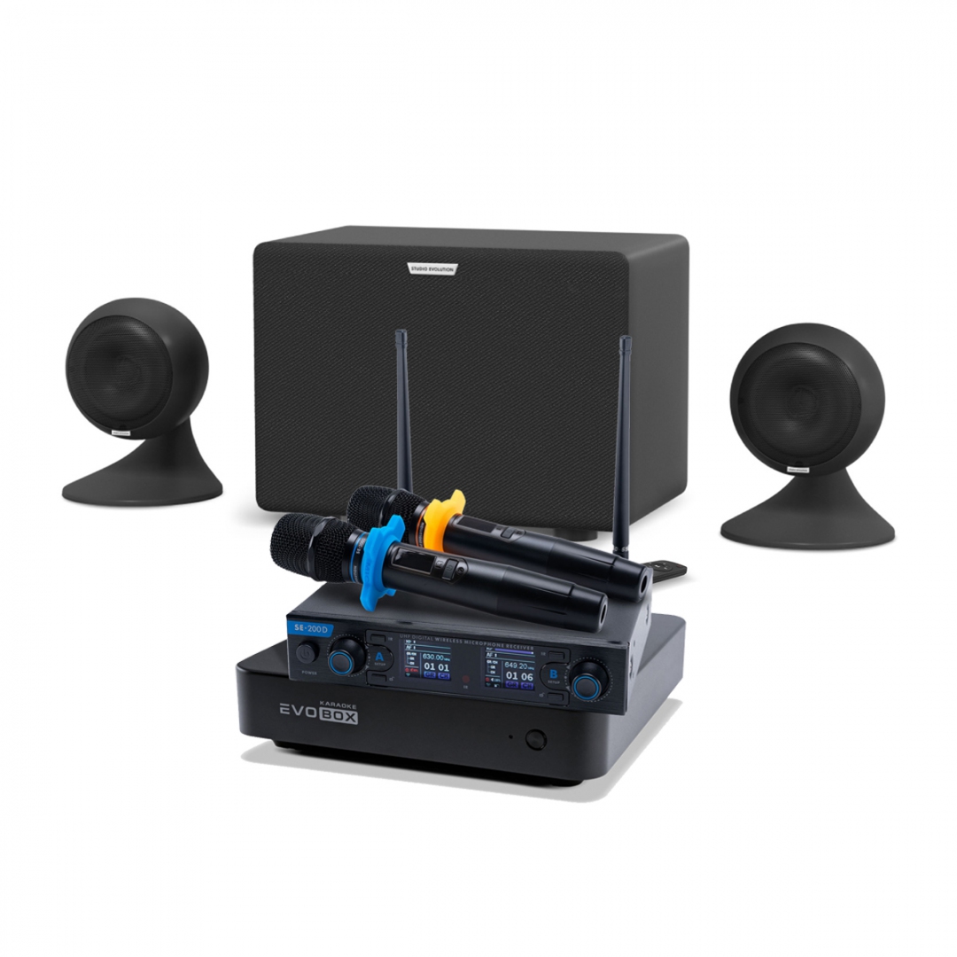 караоке-комплект EVOBOX + EvoSound Sphere 2.1 в Алуште