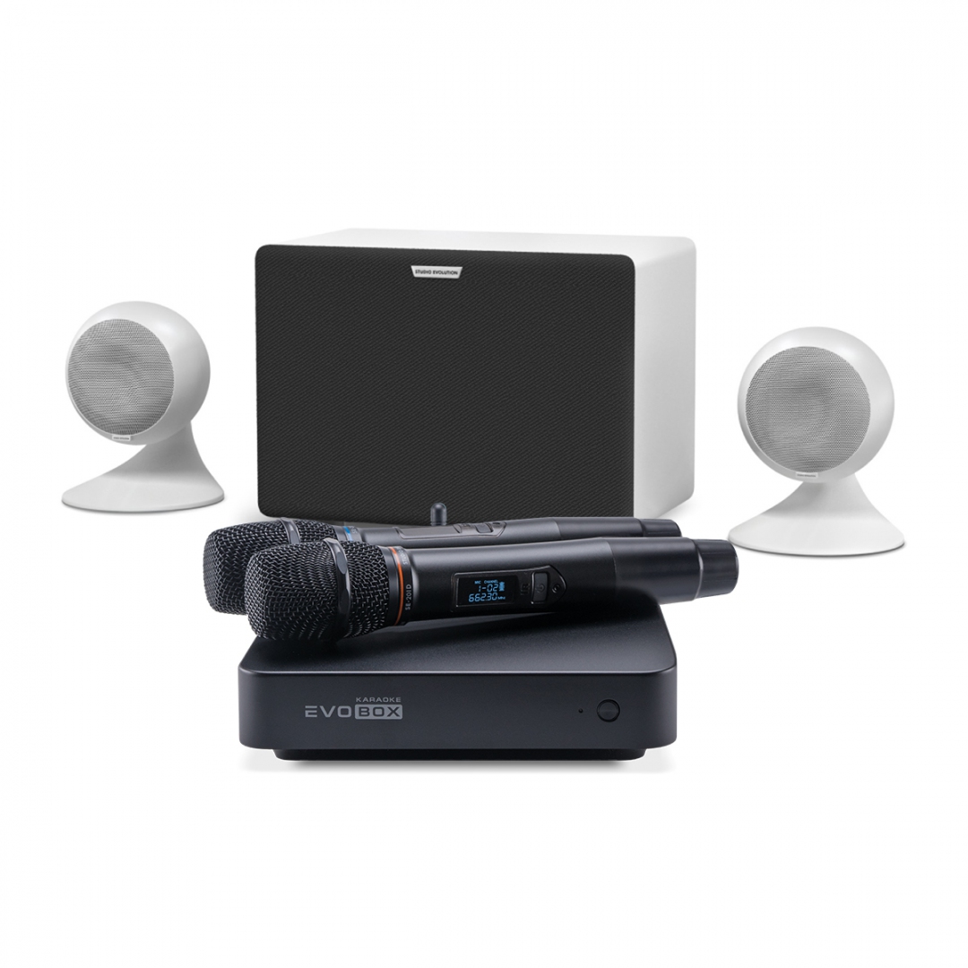 караоке-комплект EVOBOX Classic + EvoSound Sphere 2.1 в Алуште