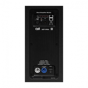 Активная акустическая система AST-310A в Алуште