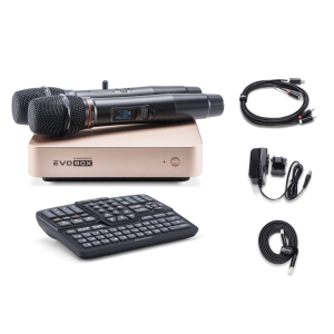 EVOBOX Classic караоке-система для дома в Алуште