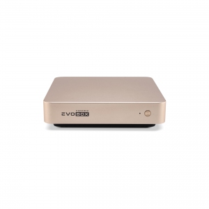 EVOBOX с микрофонами в Алуште